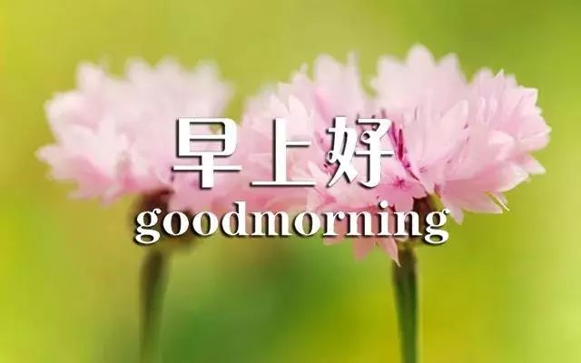 信息技术 第325页