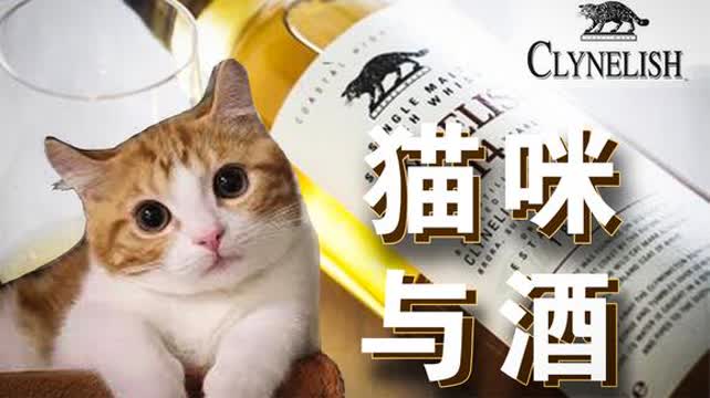 第1234页