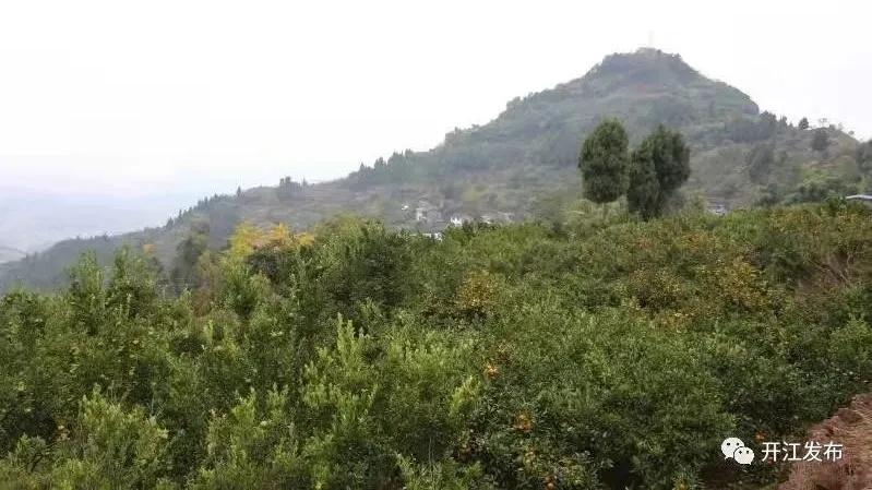 第1019页