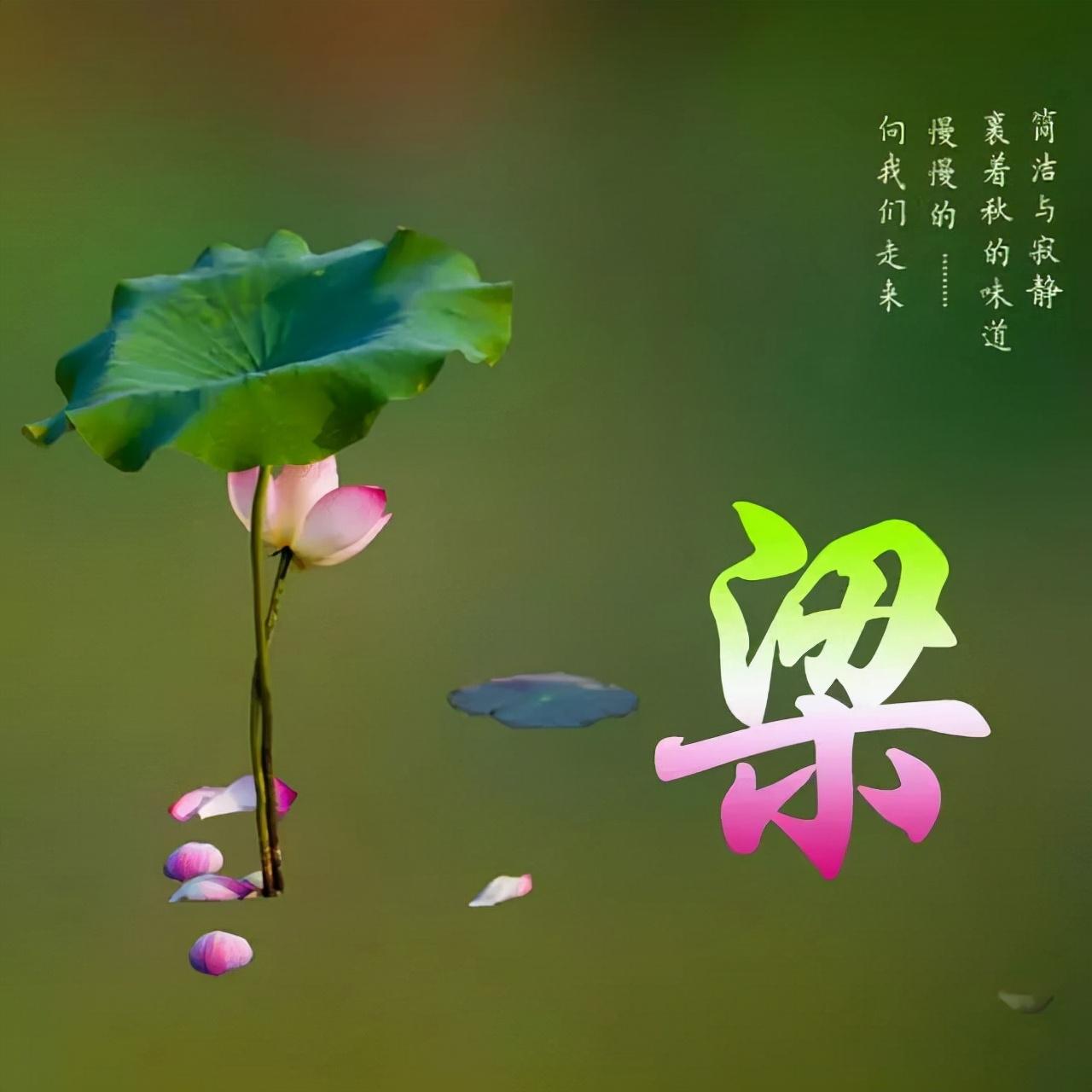 图书 第103页