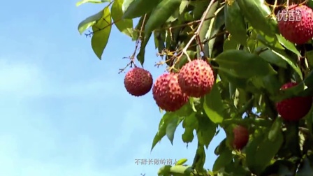 象州新鲜资讯