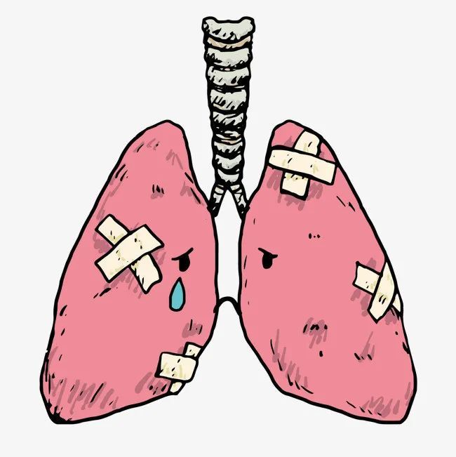 软件开发 第17页